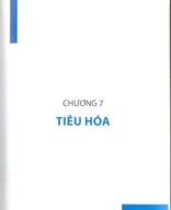 loét dạ dày tá tràng.pdf