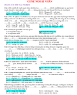 PHẦN I . CÂU HỎI TRẮC NGHIỆM - GENE NGOÀI NHÂN - GV.pdf