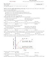 Lớp 11. Đề giữa kì 1 (Đề số 5).docx