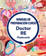 Manual Flashcards 2024-1.pdf