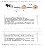 PHẦN II CÂU HỎI ĐÚNG SAI CÔNG NGHỆ GENE - HS.docx