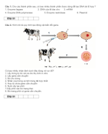 PHẦN III CÂU HỎI TRẢ LỜI NGẮN CÔNG NGHỆ GENE - HS.docx