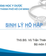 Giới thiệu hệ hô hấp.pdf