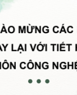 Bài 4 Kĩ thuật trồng và chăm sóc cây nhãn.pdf