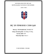 Tiểu luận thẩm định dự án đầu tư – Dự án tinh dầu cám gạo.pdf