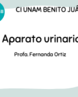 Aparato urinario.pdf