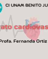 Aparato cardiovascular.pdf