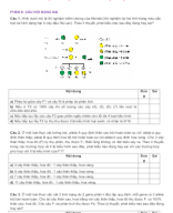 PHẦN II CÂU HỎI ĐÚNG SAI - QUY LUẬT PHÂN LY ĐỘC LẬP - HS.docx