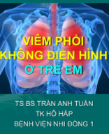 14.50-15.10 Trần Anh Tuấn.pdf