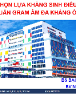 13.50-14.10 Bạch Văn Cam - GRAM AM DA KHANG- PICTURE GOI.pptx