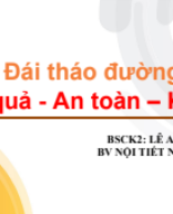 Điều trị Đái tháo đường type 2_  Hiệu quả - An toàn – Kinh tế.pdf