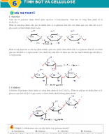 Bài 6. Tinh bột và cellulose - HS.docx