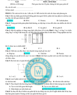 1. ĐỀ MINH HỌA TNTHPT  SINH HỌC 2025 - BGD ( 18 - 10 - 2024 ).Image.Marked.pdf