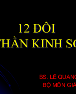 Giải phẫu 12 đôi dây thần kinh sọ.ppt