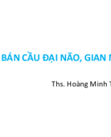 Giải phẫu bán cầu đại não gian não.ppt