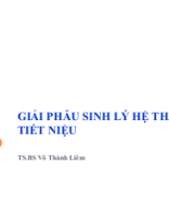 Giải phẫu sinh lý hệ thận tiết niệu_pgs Nguyễn Thanh Liêm.ppt