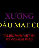 Giải phẫu xương đầu mặt cổ.ppt