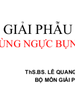 Giải phẫu vùng ngực bụng.ppt