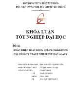 Khóa luận Hoàn thiện hoạt động Online Marketing tại Công ty trách nhiệm hữu hạn Acacy.docx