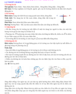 1. TỪ TRƯỜNG.docx