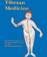 Tibetan Medicine Illustrated in Original Texts.pdf