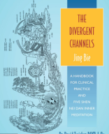 The Divergent Channels.pdf