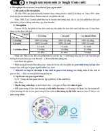 Bài 9.1. Di truyền gene ngoài nhân (LT).pdf