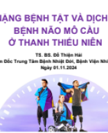 12.30-12.45 TS.BS Đỗ Thiện Hải - Não mô cầu - VPA 01.11.2024.pdf