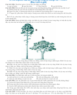 10 câu ôn phần Sinh học - Đánh giá năng lực ĐHQG HN - Phần 1 (Bản word có giải).doc