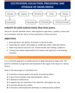 3. CULTIVATION, COLLECTION, PROCESSING AND STORAGE OF CRUDE DRUGS.pdf