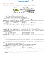 10 câu ôn phần Sinh học - Đánh giá năng lực ĐHQG HN - Phần 11 (Bản word có giải).doc