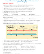 10 câu ôn phần Sinh học - Đánh giá năng lực ĐHQG HN - Phần 15 (Bản word có giải).doc