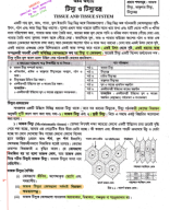 8. Tissue And Tissue System Hasan Sir 12th 2024..pdf