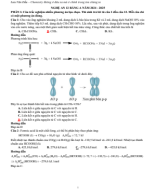 1042. LG De HSG 12 Nghe An Bang A nam 2024 - 2025.pdf