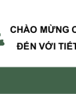 Chương IV. Bài 5. Tích của một số với một vectơ.pptx