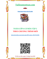 Toán cơ bản lớp 8 tập 2.pdf