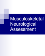 musculoskeletal-and-neurological-assessment-powerpoint4647.pdf