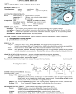 study guides_Tissues2.pdf