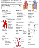 study guides_Arteries_Veins.pdf