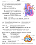 study guides_heart.pdf