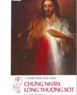 B 248.5_Chứng nhân lòng thương xót 949.pdf