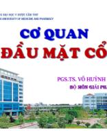 13 CQ DMC  -  Read-Only  -  Compatibility Mode.pdf