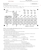 Lớp 12. Đề KT chương 4 (đề 2).docx