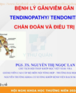 Chẩn đoán và điều trị Bệnh lý gân, viêm gân – PGS.TS Nguyễn Thị Ngọc Lan.pdf