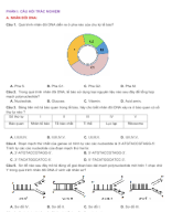 PHẦN I CÂU HỎI TRẮC NGHIỆM NHÂN ĐÔI DNA VÀ ỨNG DỤNG NHÂN ĐÔI DNA - HS.docx