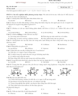 Lớp 12. Đề KT chương 2 (Đề 3).docx