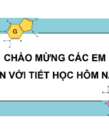 bài 3. Công nghệ gene.pdf