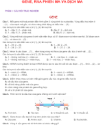 PHẦN I .CÂU HỎI TRẮC NGHIỆM -  GENE PHIÊN MÃ VÀ DỊCH MÃ - HS.docx