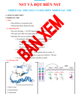 Chuyên đề 05. ĐỘT BIẾN NST - NST-PP.pdf