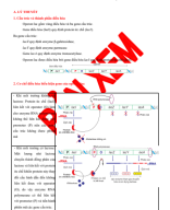 Chuyên đề 02. ĐIỀU HÒA GEN-PP.pdf